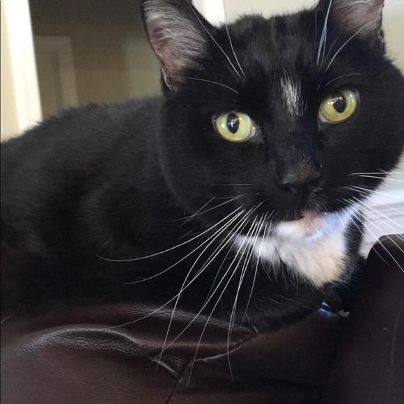 Meet your Posher, Jan - Picture 1 of 1